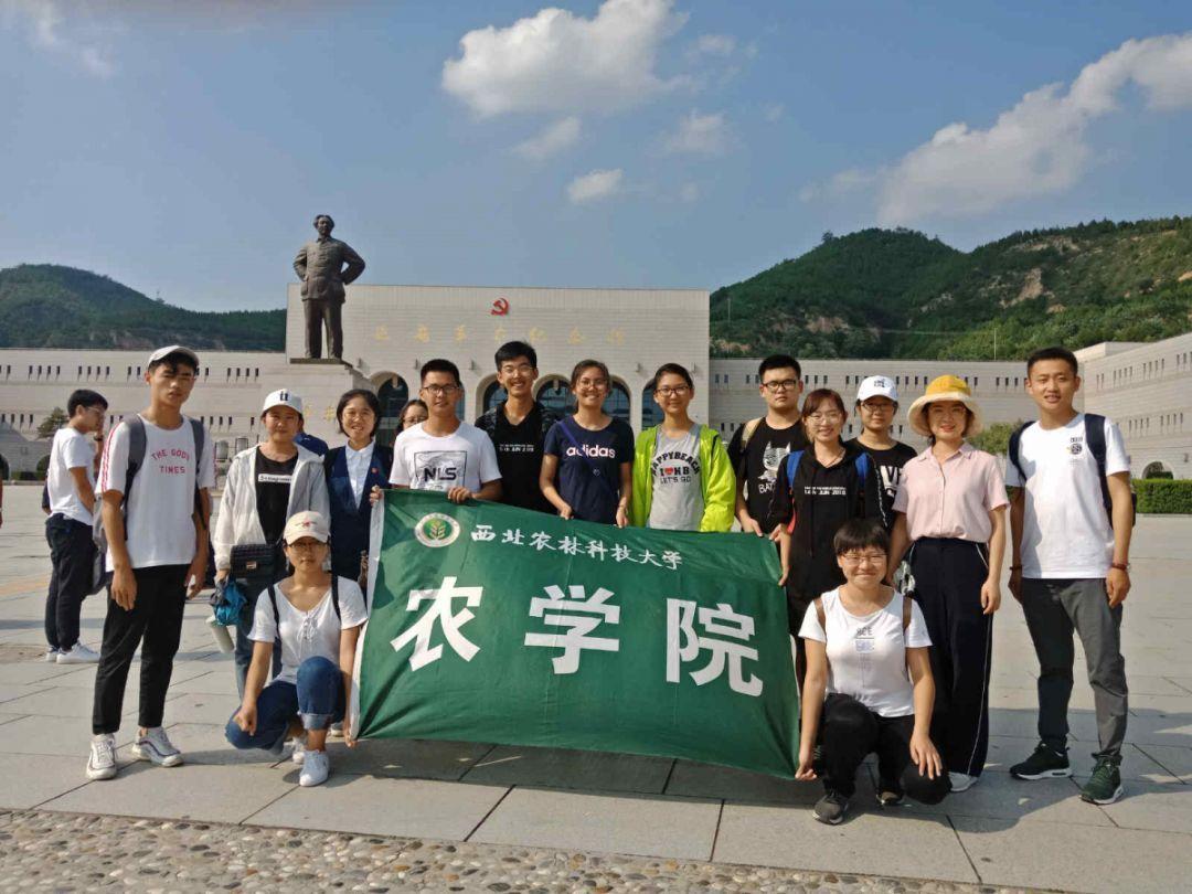 安踏旗下迪桑特正式盯上童装，儿童高端户外赛道正在爆发？