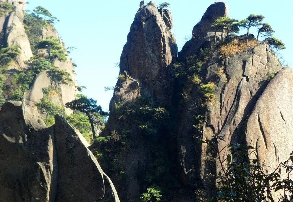 橘子粉和什么泡在一起会食物中毒？游戏画面